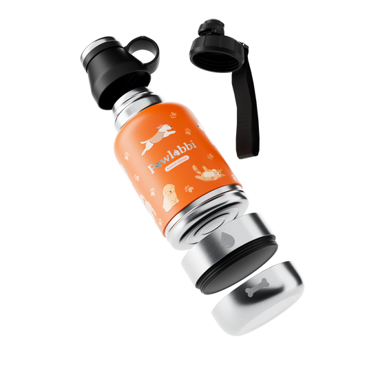 Pawbottle Thermo Trinkflasche für Haustiere Hunde & Katzen